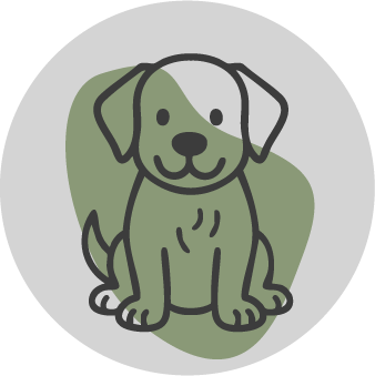 Icon von einem Sitzenden Hund, im Hintergrund eine grüne Farbfläche