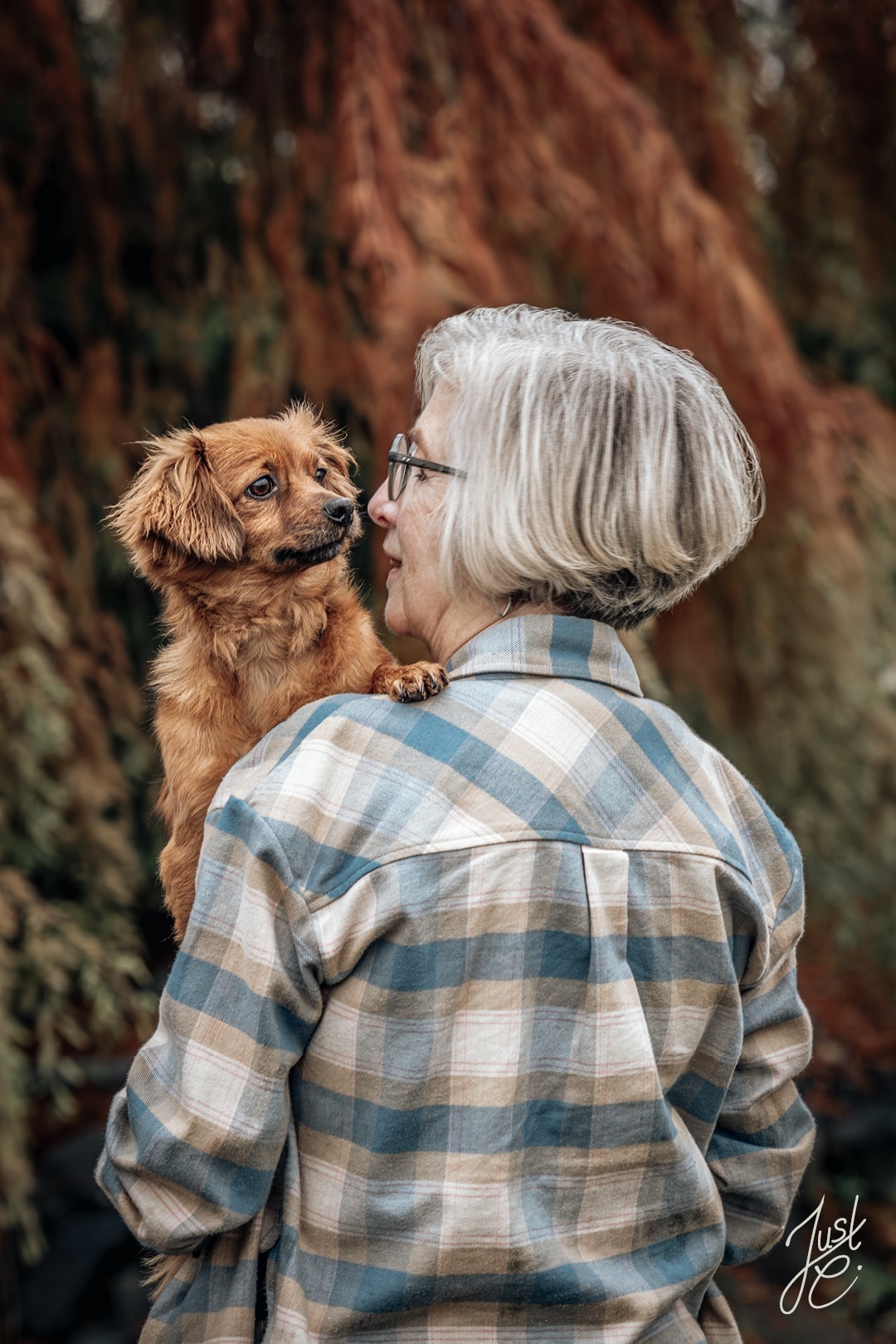 Natürliches Hundeshootig das die Verbundenheit von einen Mischling Rüden zu seinem Frauchen zeigt