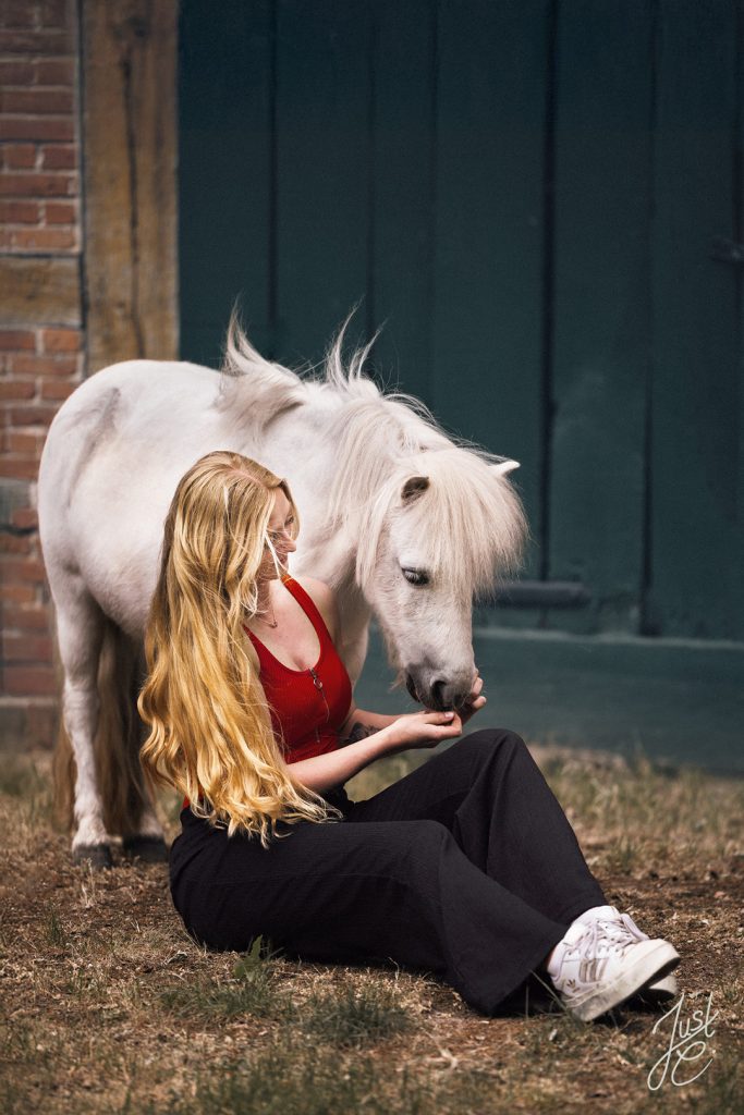 inniges Pferdefoto von einem Shetty und seine Besitzerin auf einem Pferdehof im osnabrücker Land
